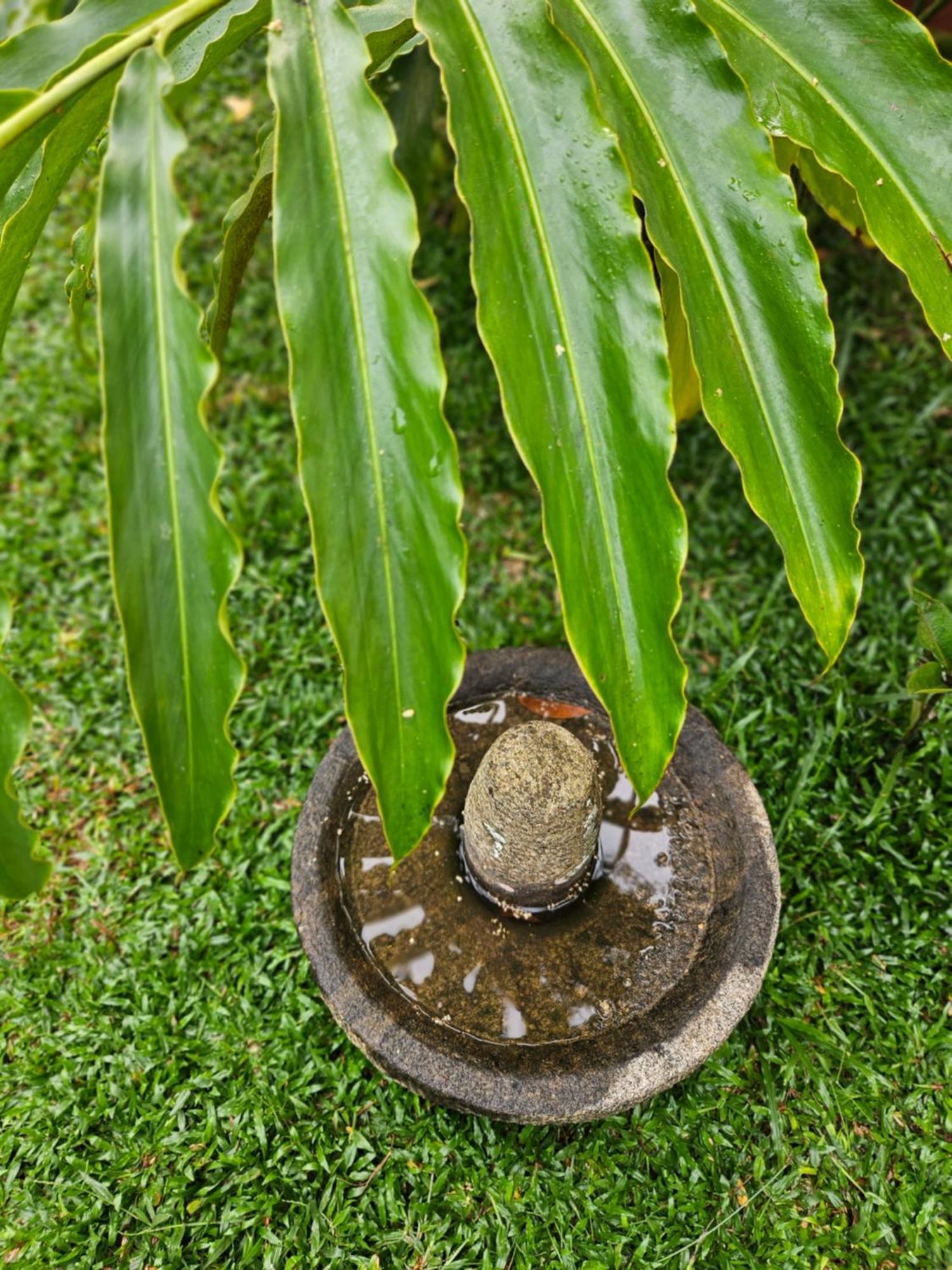 Villa Mia Mararikulam Kültér fotó