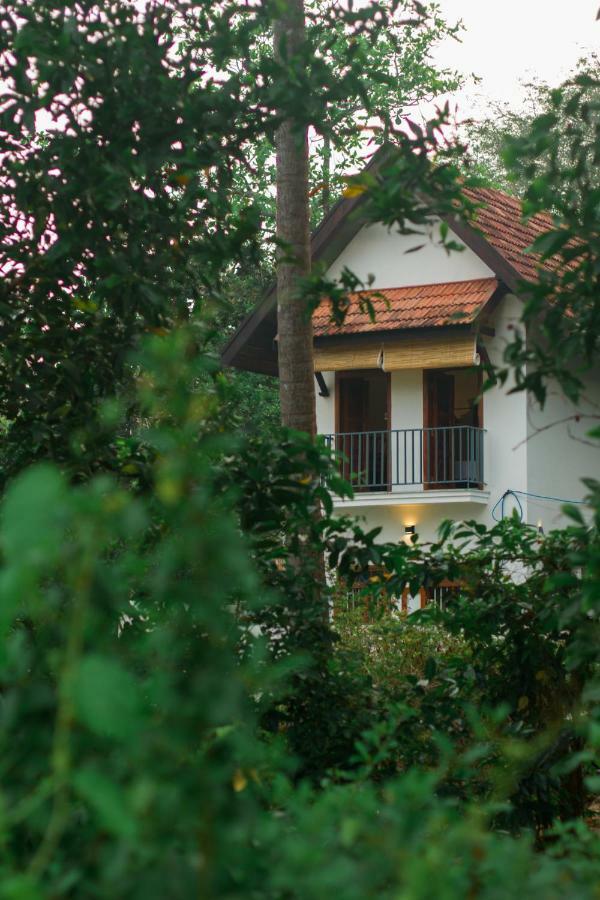Villa Mia Mararikulam Kültér fotó